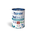 12x400g Conserve MONGE VetSolution Hypoalergenic Miel - Hrana Umeda Caini
